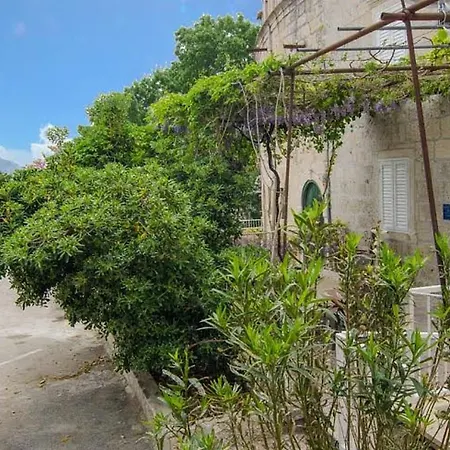 度假居 Seaside House Trstenik, Peljesac - 16309